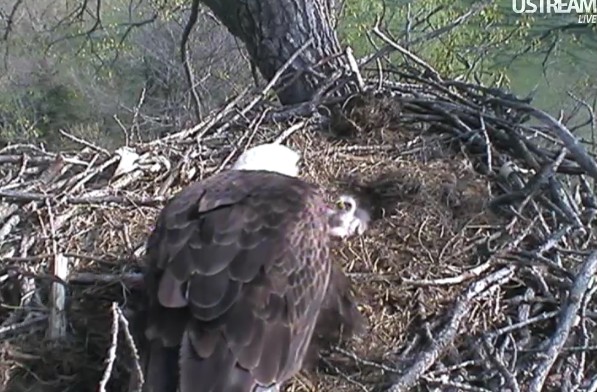 ScreenHunter_05 Apr. 01 11.26.jpg